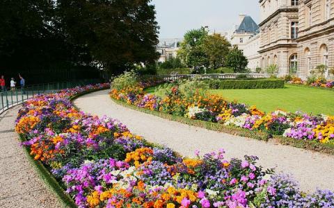 Passez une Saint Valentin romantique à Paris