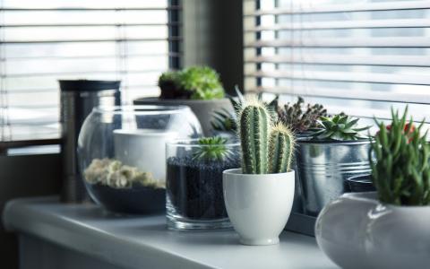 Flânez sur les terrasses de Paris ou au Salon Maison et Objet